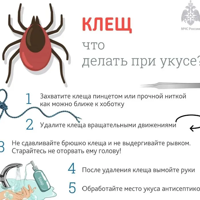 Осторожно, клещи!