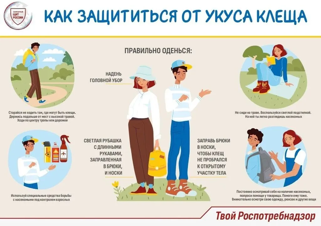 Буклет клещи
